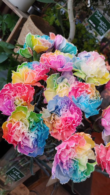 Twitterのコスプレ画像10