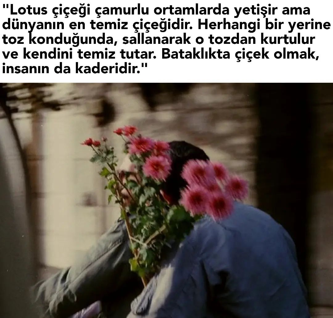 shnberwar's tweet photo. "Hiç açması beklenmeyen yerde çiçekler vardı. 
Çamurdan dünyaya gelen, mis gibi kokan, tertemiz bataklık çiçekleri.
 Ruhlarımız da böyle değil midir? 
"Ruh sayısız yaprağıyla, bir lotus çiçeği gibi kendi kendine açar." https://t.co/A0wHOOvTih