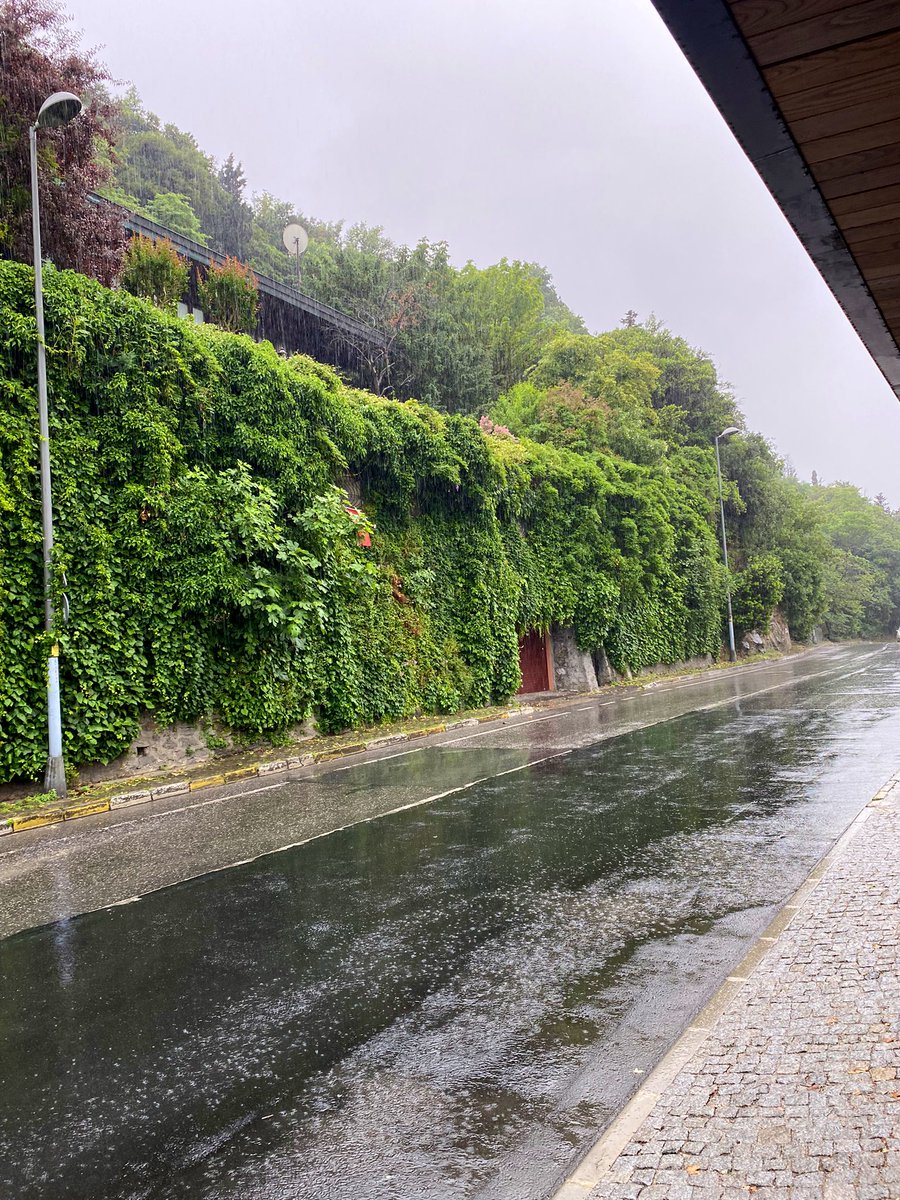 rain or shine baby🏃🏽‍♀️