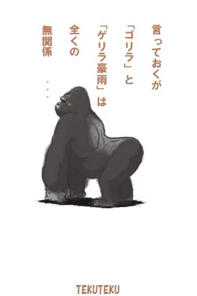 🦍… 