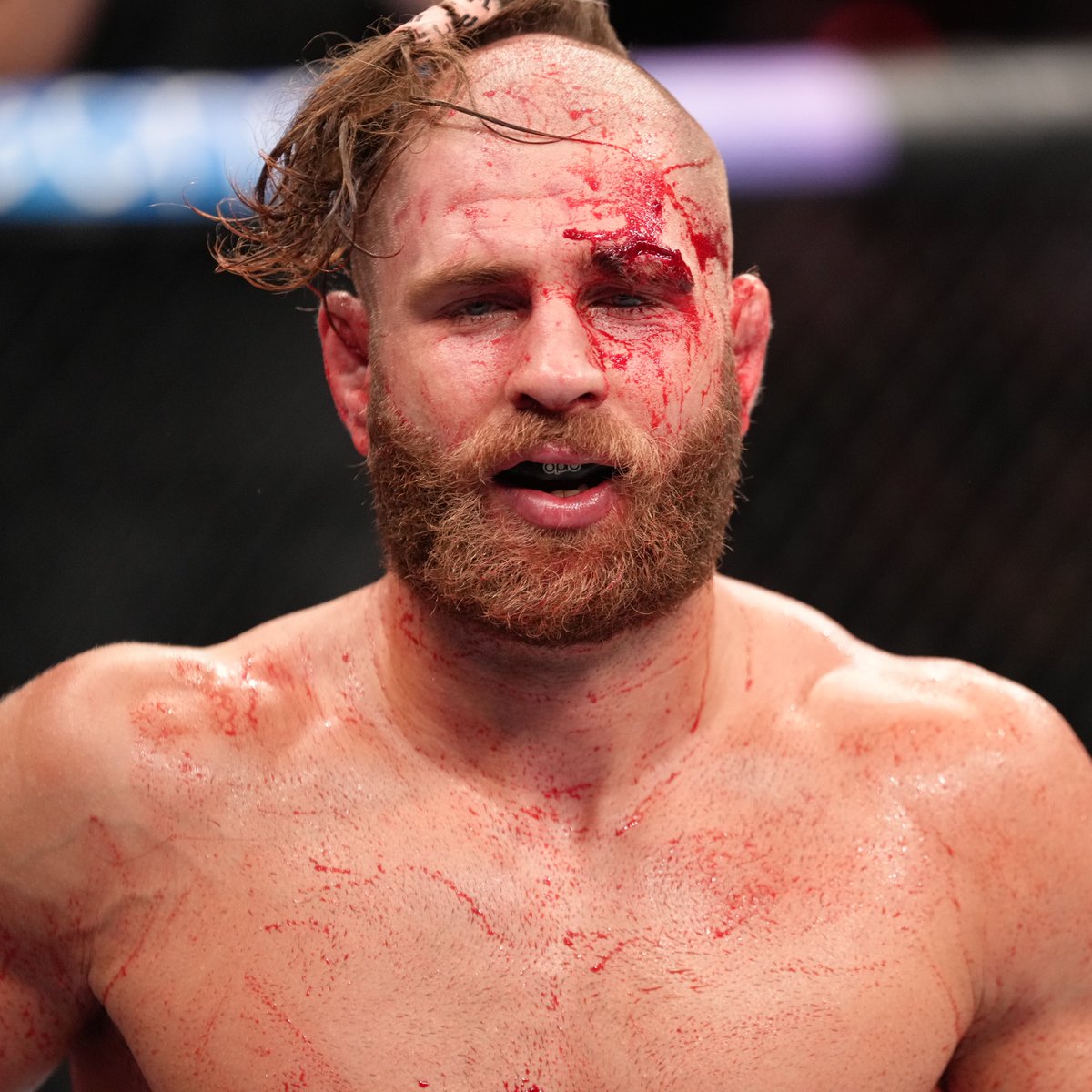 UFCEurope's tweet photo. The face of a Warrior! 🇨🇿🏆 https://t.co/0su4dd80ra