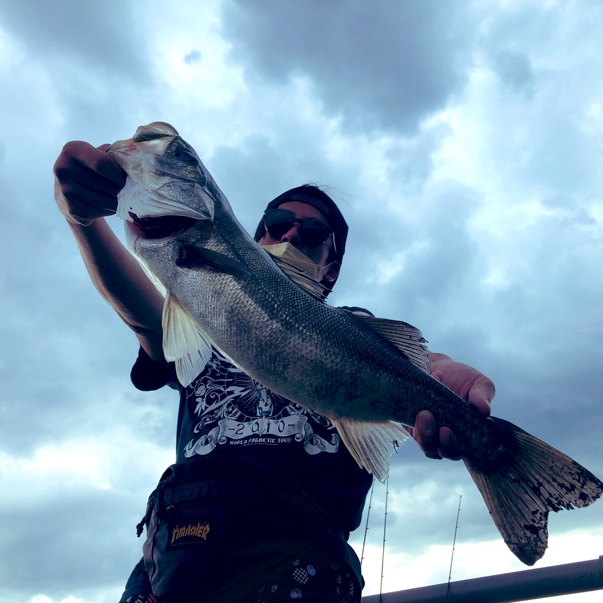 furu_syun's tweet photo. 多摩川も遂に銀色のヤツの季節がやってきました🐟スパイテール ボイル撃ちで🎣
#多摩川
#堰上シーバス
#Jackal
#SPYTAIL https://t.co/hGDdUOXGZs