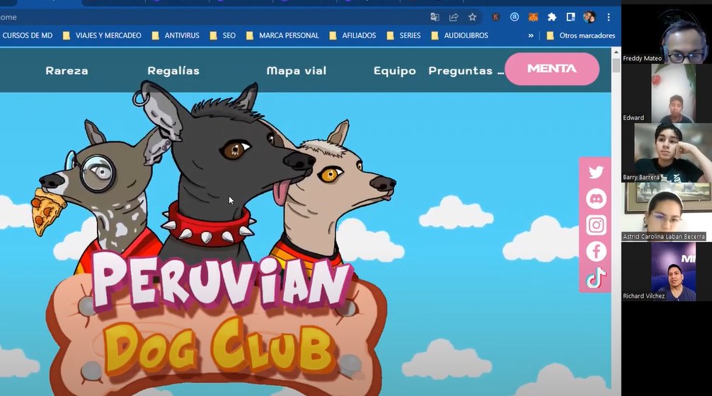 Peruvian Dog Club | MINT IN LIVE tweet media