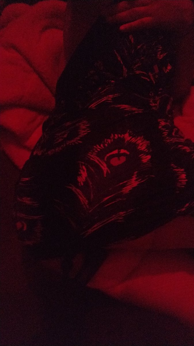 K69chavez's tweet photo. Aquí nosotros como siempre de putitos y calientes queriendo verga https://t.co/K4ZkUIebIQ