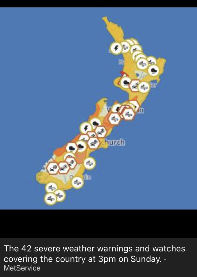 Lauren Roche 🌻 tweet media