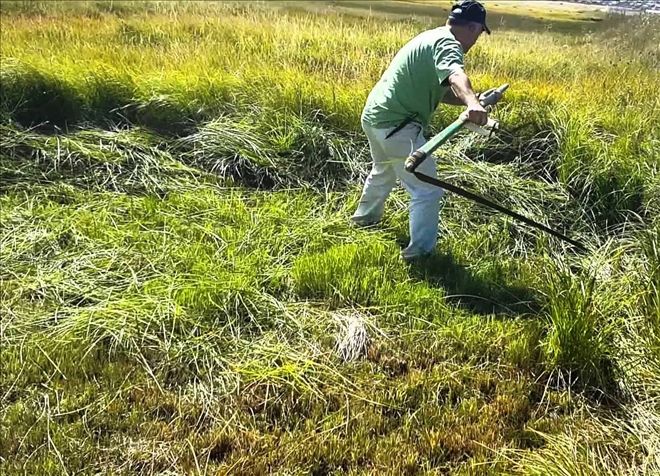 Nûçeyên Eletewş tweet media