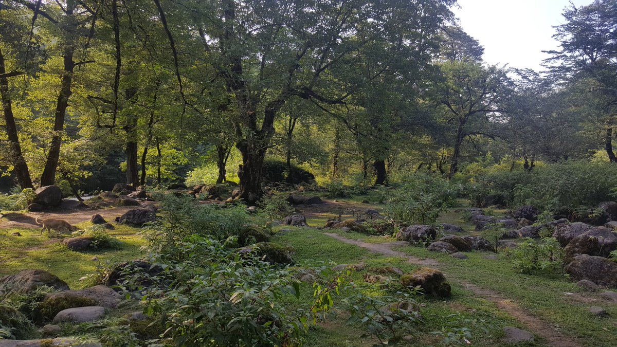 <a href="/_NFTsArt/">NFTsArt 🎯</a> <a href="/cybotz_nft/">CyBotz - Free Mint 🤖</a> opensea.io/Raha_Haddad