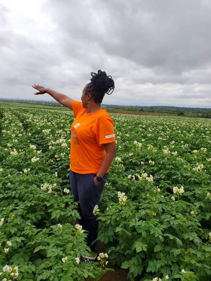 MpondaSabinus's tweet photo. Agriculture needs capital,time, market,land, and water. https://t.co/O8AxADQK3V