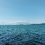 ツイートに含まれる画像