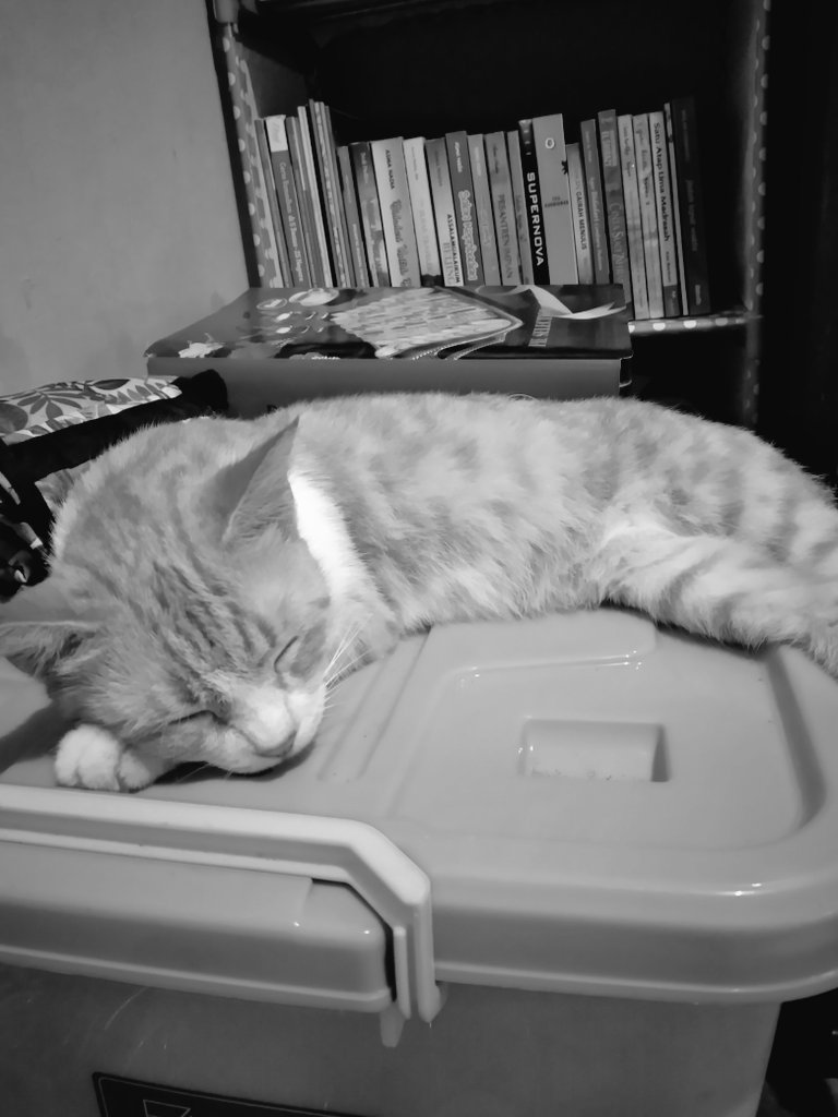 aynulhusnaa's tweet photo. Like mother like daughter, si mager https://t.co/zI9PBEHnbo