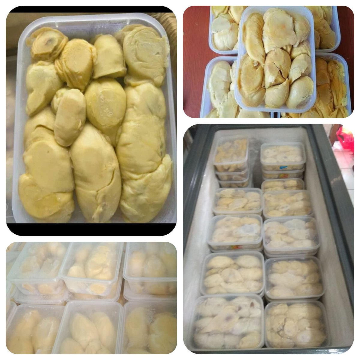 Biangkuliner77's tweet photo. Hello penggemar Durian
PO Durian Kupas nih
1. Durian Montong 75.000
2. Durian Medan 65.000
Isi sesuai foto ya kak.
Pemesanan bisa via DM, Harga belum termasuk ongkir, Pengiriman dari Jatibening Bekasih

@JatibeningInfo @mamingunyah @infoJATIASIH https://t.co/yWJhJ0NCao