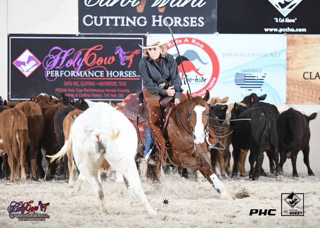 PHorseCentral's tweet photo. Lindy Burch topped the field in the 4YO Open 1st Go at the #PCCHA #ReyzinTheCash Derby today scoring a 223 aboard Reyzin Bets (Reyzin The Cash x Bet Shes Smooth) owned by the #OxbowRanch. It took a 216 to make the 2nd Go. #ScootemNShootemPhotography #holycowperformancehorses https://t.co/mNBBhQbdFB