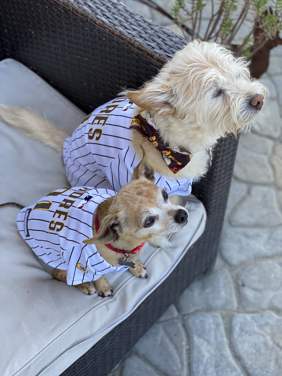 MollyCook4's tweet image. #PadresPets