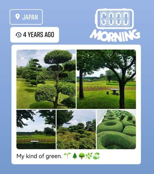 Topiary 💚

#julescapades #japan #trees #nature #plants #garden #templerun #travelasia #travelphotography  #traveldiaries #travelblog #travelblogger #travelvlog  #asia #southeastasia #asian #throwback