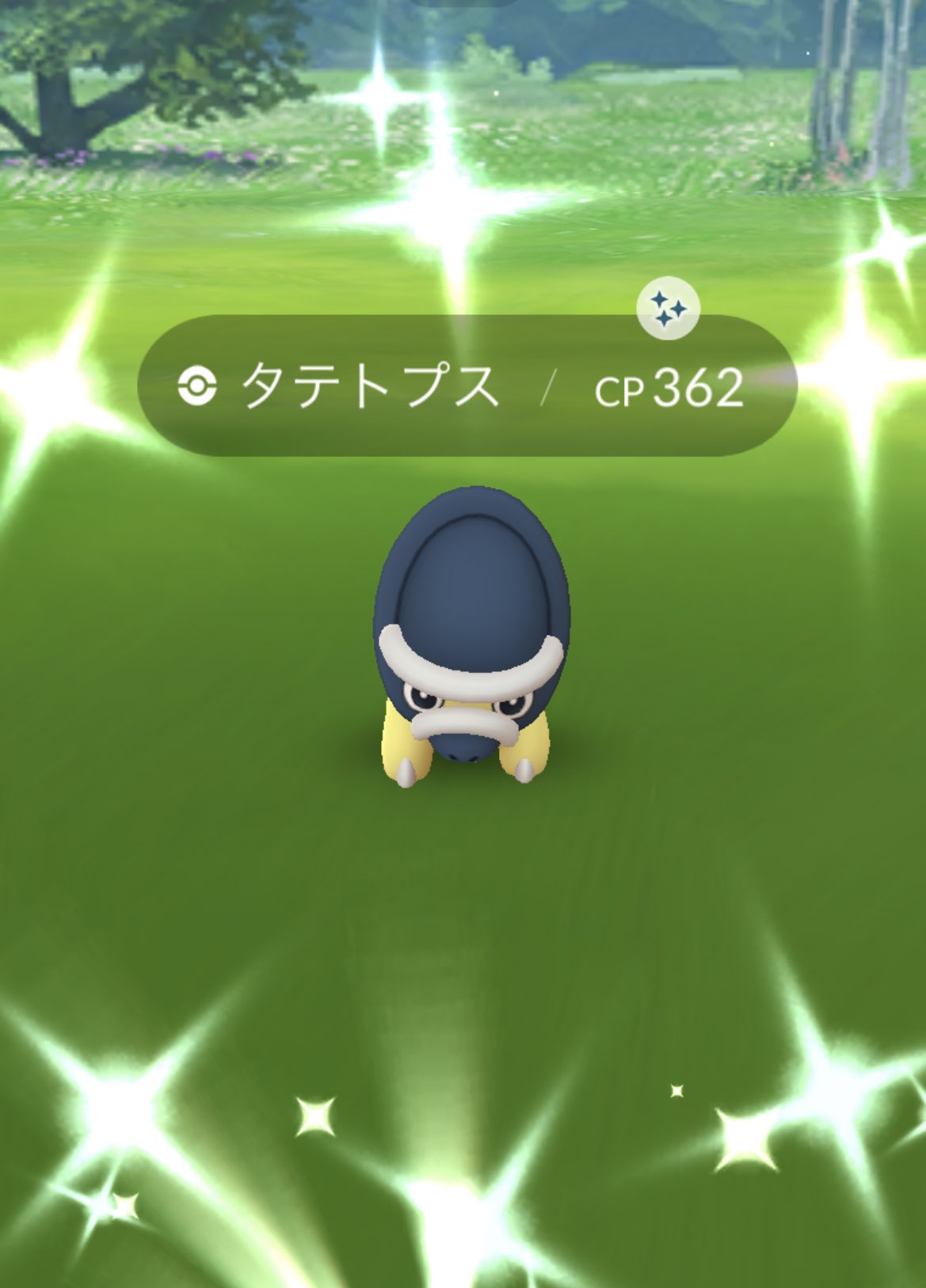 タテトプス色違い Twitter Search Twitter