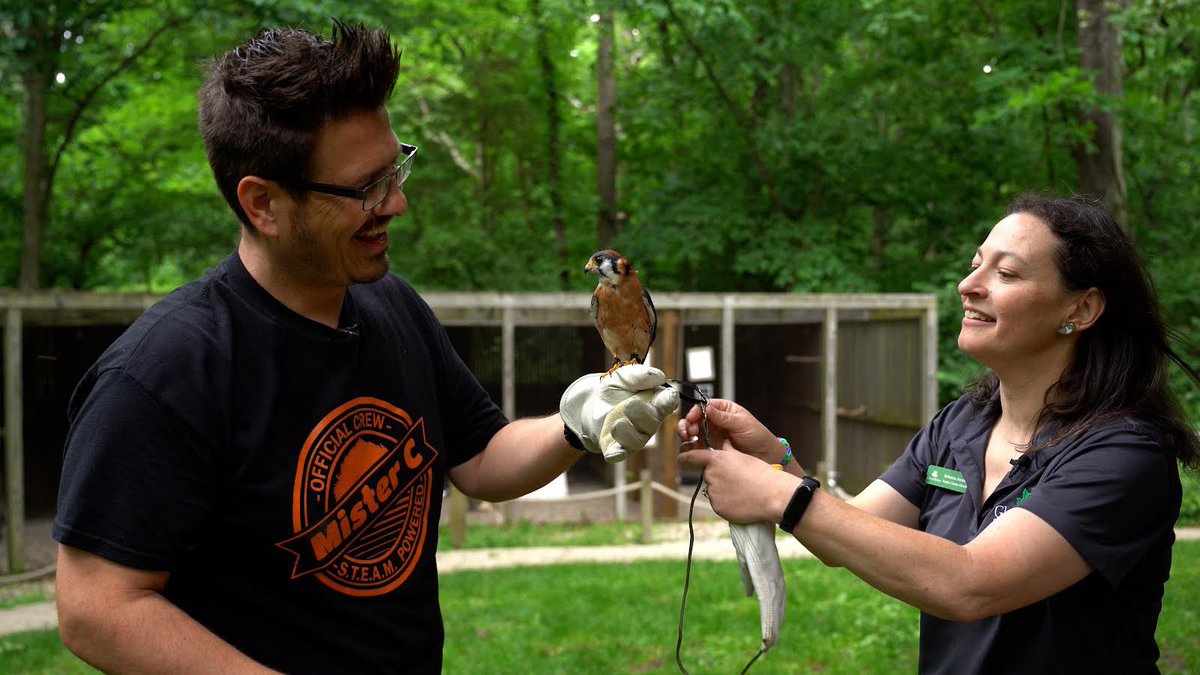 OriginalMisterC's tweet photo. Working on a new series called WunderSTEM, which focuses on career exploration!  One of our episodes focuses on ornithologyand we had a chance to work with Rebecca at the Glenn Helen Raptor Center! #wunderstem #stemcareers https://t.co/NIFBjOxOw7