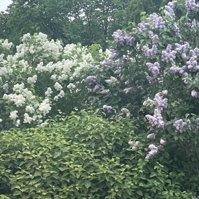siplkanona's tweet photo. #NewProfilePic https://t.co/YJZaOCBt1v