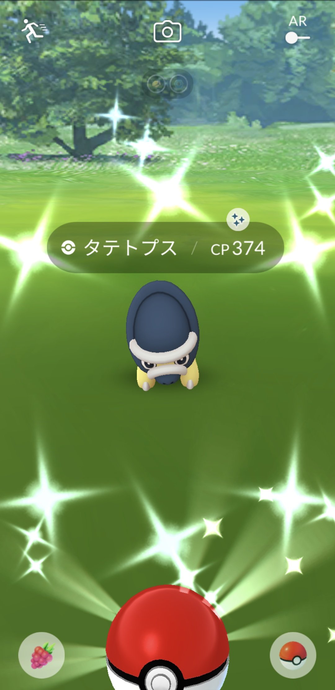 タテトプス色違い Twitter Search Twitter