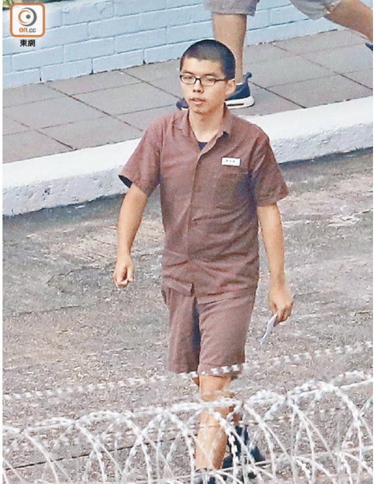 Drew Pavlou 🇦🇺🇺🇸🇺🇦🇹🇼 tweet media