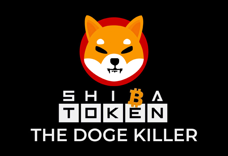 ShibburnTv's tweet photo. @ShibaArchives https://t.co/ndwlYGmJBj