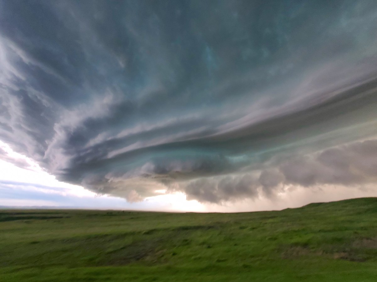 Jessie McDonald tweet media