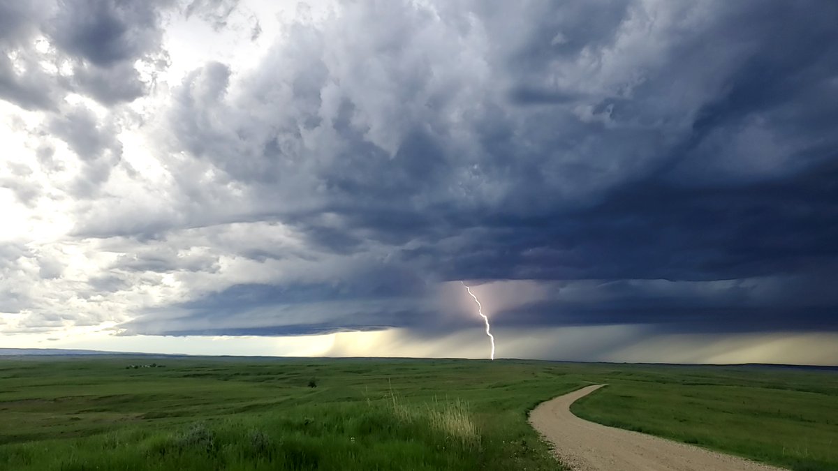 Jessie McDonald tweet media