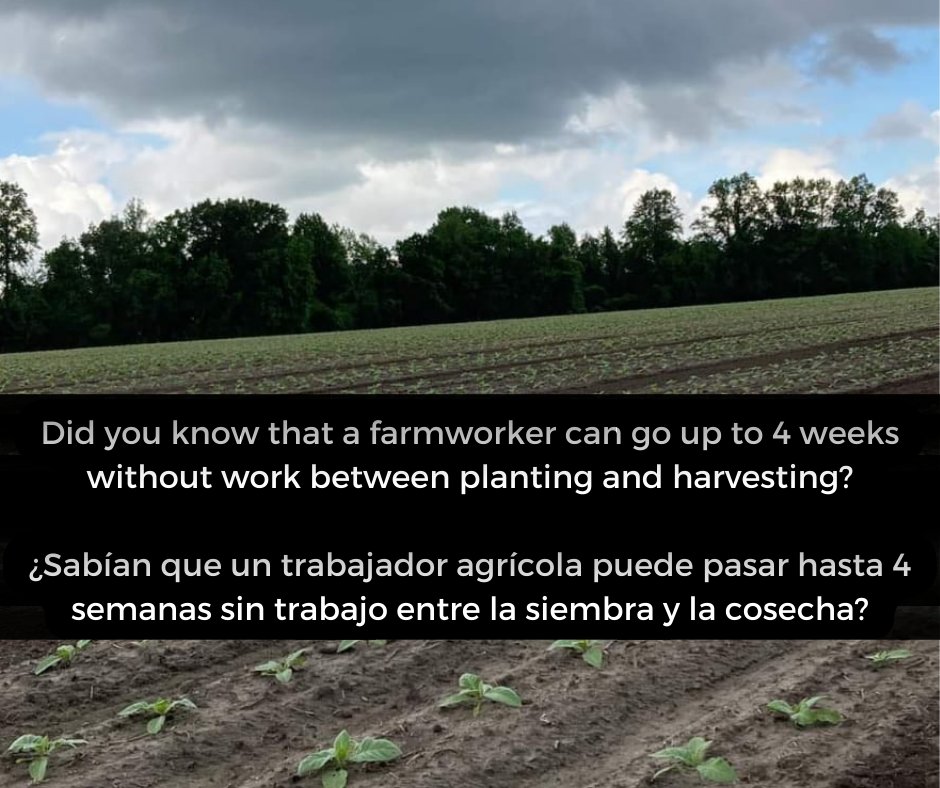 esnuestroFLOC's tweet photo. https://t.co/PmJBDXc3td
Please continue supporting and donating! 
¡Por favor, sigan apoyando y donando! https://t.co/2xtsWE2R7R