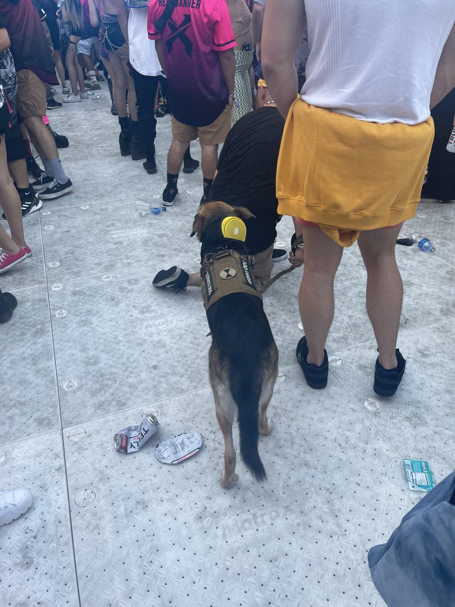 TAKE. UR. DOG. HOME.