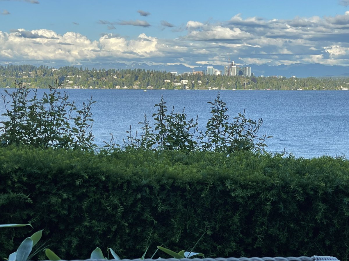 adrianjd87's tweet photo. Lake Washington over here making me fall in love 😍 #PNW #MedStudent #SubISeason #iloveseattle #MedTwitter #EMBound https://t.co/qmRxGunh0F