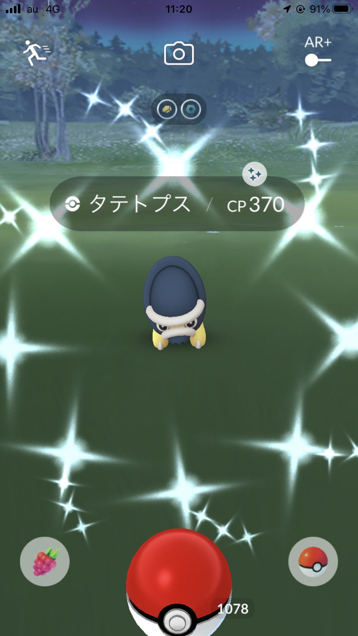 タテトプス色違い Twitter Search Twitter
