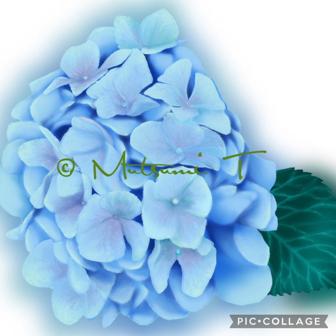 よう描いてのtwitterイラスト検索結果 古い順