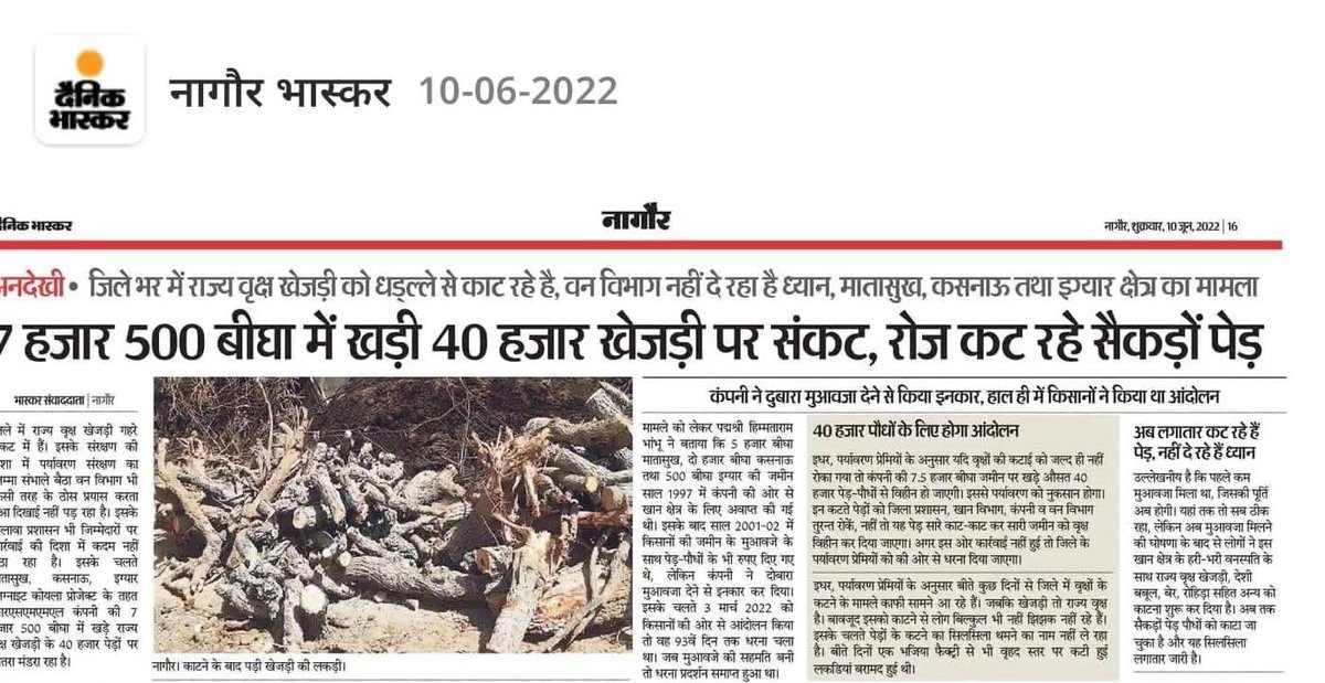Ranjeetrajgur's tweet photo. #सोलर_कम्पनियों_से_खेजड़ी_बचाओ                       
@PMOIndia @ashokgehlot51 @gssjodhpur @ashokgehlot51 @biharibishnoi @RajCMO @narendramodi @AmitShah @RahulGandhi @hanumanbeniwal https://t.co/d2i7APMqNn