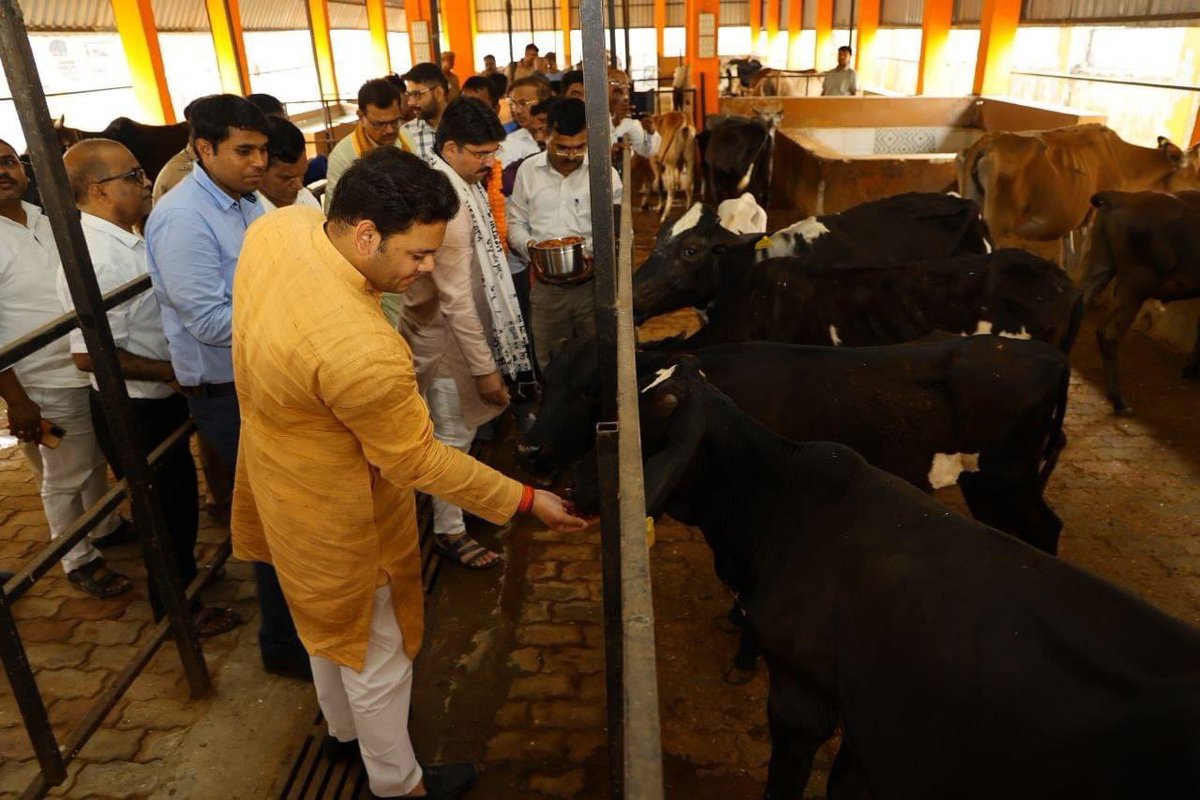 thisissanjubjp's tweet photo. जनपद देवरिया में प्रवास के दौरान, कान्हा पशु गौशाला, पिपरपाती स्थल पर पहुंचकर निरीक्षण किया। https://t.co/8OFQ87EBmv