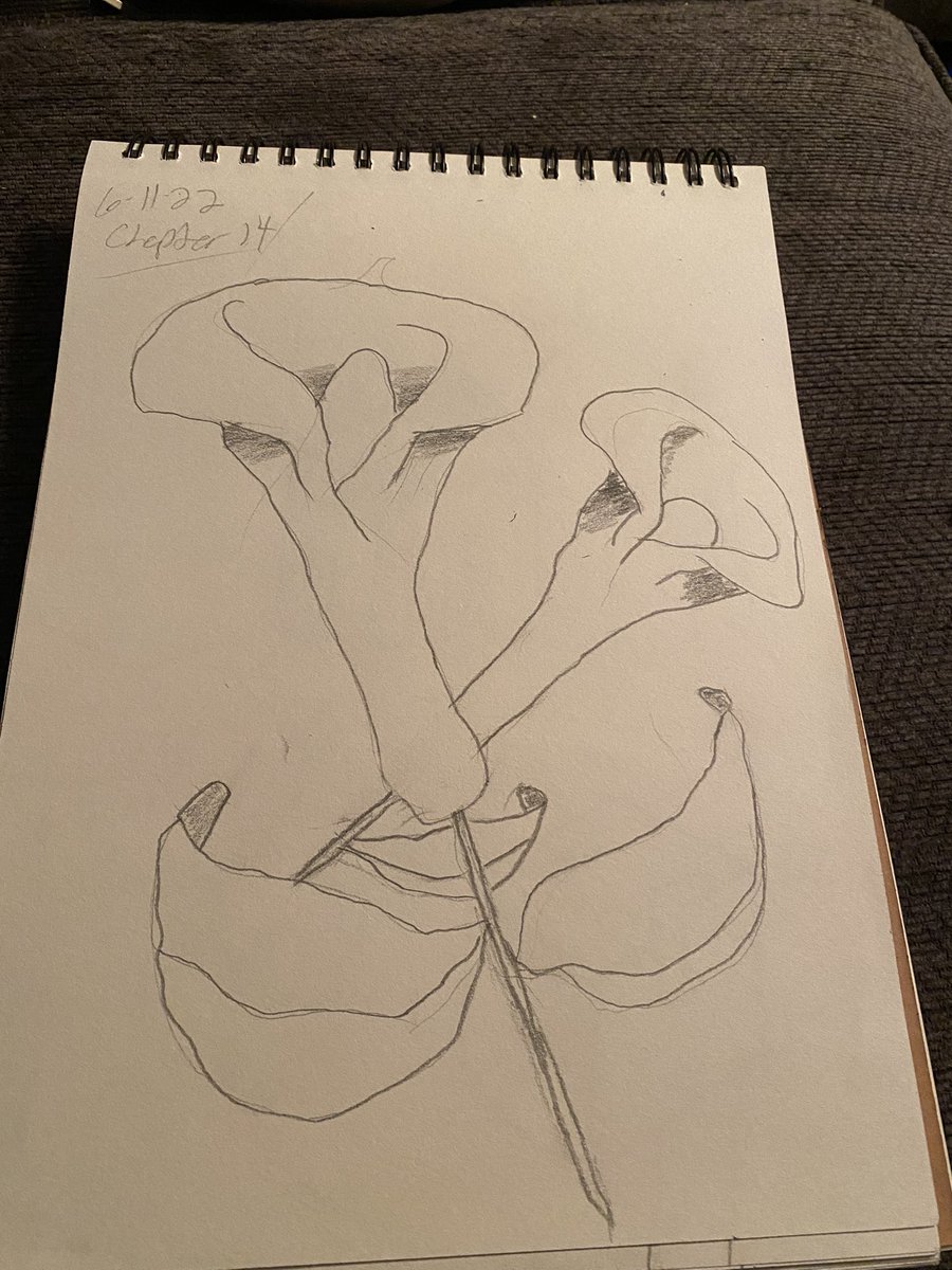 Skillio87's tweet photo. @Mark_Kistler I just finished the Lillies lesson! Thank you for writing this book and giving me a chance to learn how to draw. https://t.co/O7OE1kgN1K