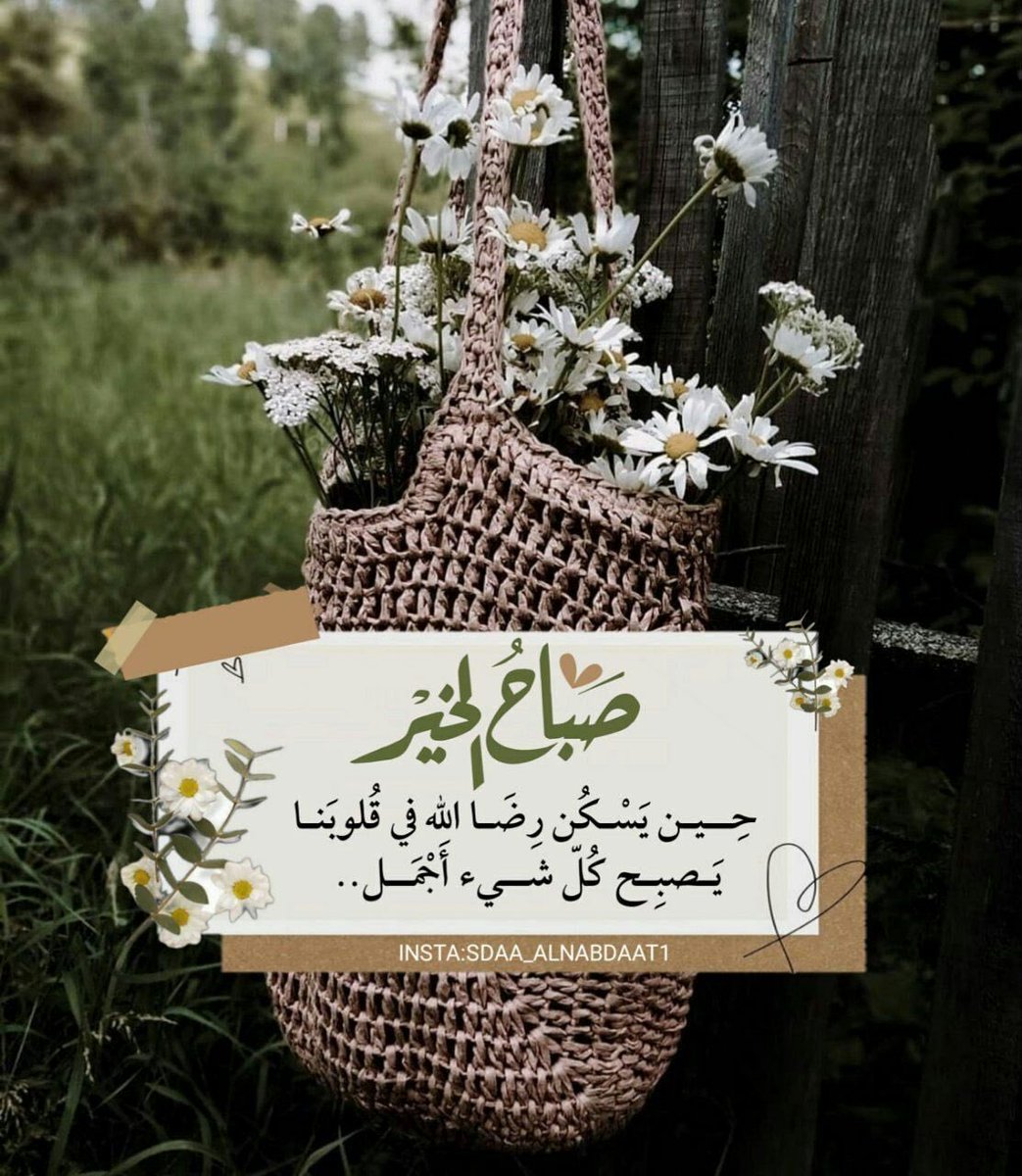 alamal_4's tweet photo. ☀️🍃🕊 
كل الأشياء في جوارِ #الله هادئة، 
دافئة، مليئة بالرضا 
والسكينة الدائمة
 فالأمور يرتبها الله 
وتأتي كما تحب وأجمل 
وبأهون الأسباب .
تتغير الأحوال في لحظة لأجلك ...🌺🍃

#صباح_الخير   ..🌹🍃 https://t.co/j89tPHFflN
