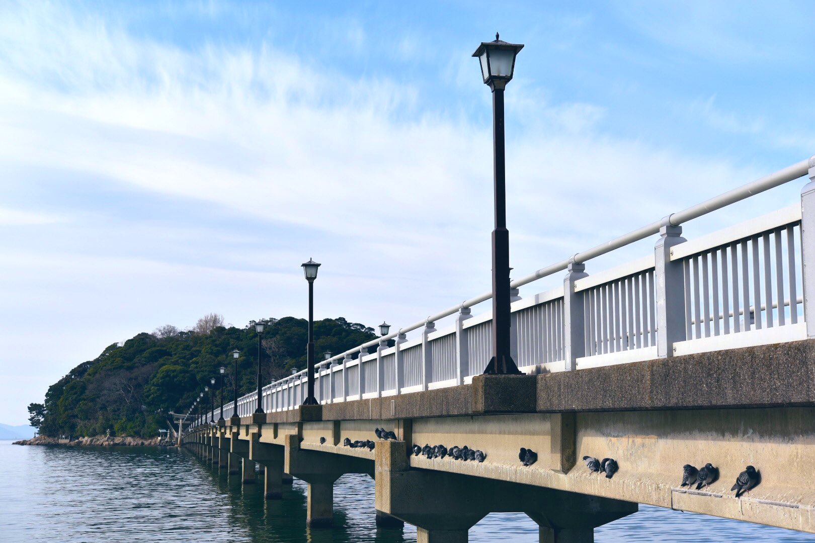 Schreibkultur 竹島の鳥さんは ここが定位置のようです 蒲郡 竹島 竹島橋 三河湾 東三河カメラ部 キリトリセカイ ファインダー越しの私の世界 私とニコンで見た世界 Nikon T Co Vgv1b4ns94 Twitter