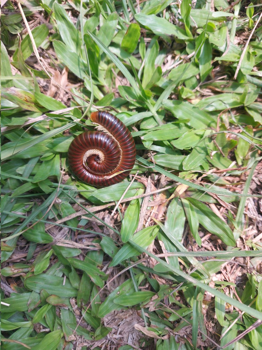 नाम चाहिँ थाहा भएन।