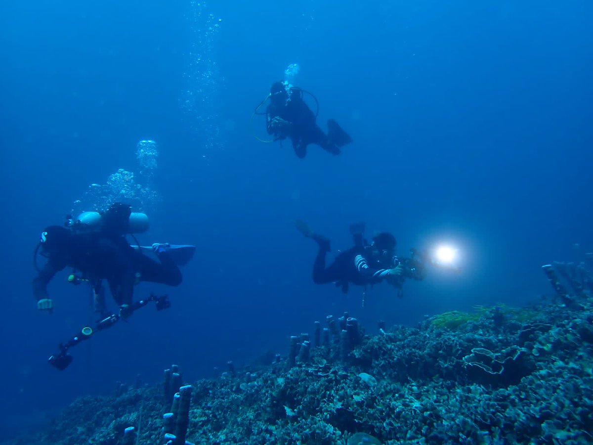 globaldive_id's tweet photo. Selamat Bergabung di Keluarga Besar PSS- Professional Scuba Schools Indonesia…
👌😍😂👏👏
…
..
.
Selanjutnya Pendidikan Instruktur PSS dilaksanakan Setiap Minggu, silahkan Hubungi 0812-2360-3008 wa atau call…
https://t.co/UmlWjOY8tG https://t.co/1cdldBtZdZ