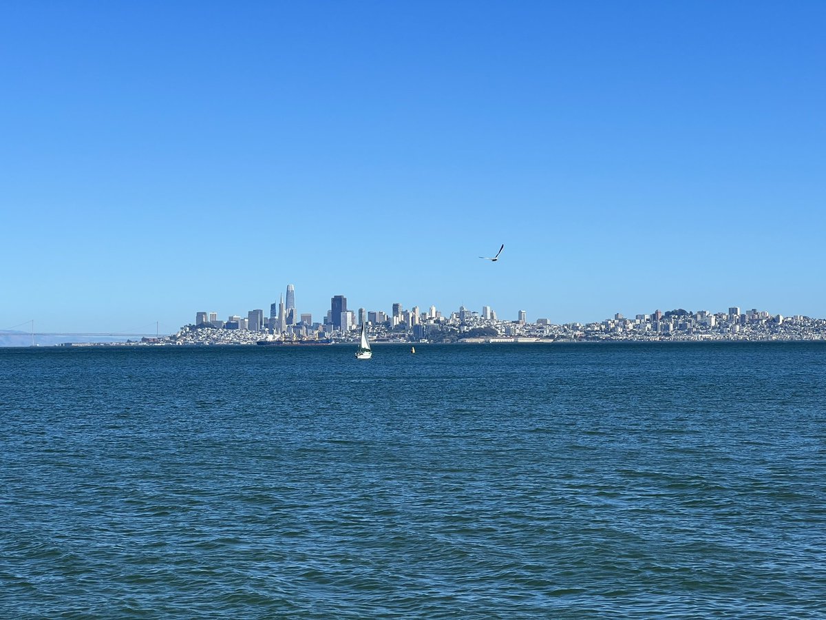 I sometimes take for granted living here, but hearing visitors excitedly waiting to board the ferry from Sausilito to SF snapped me out of that