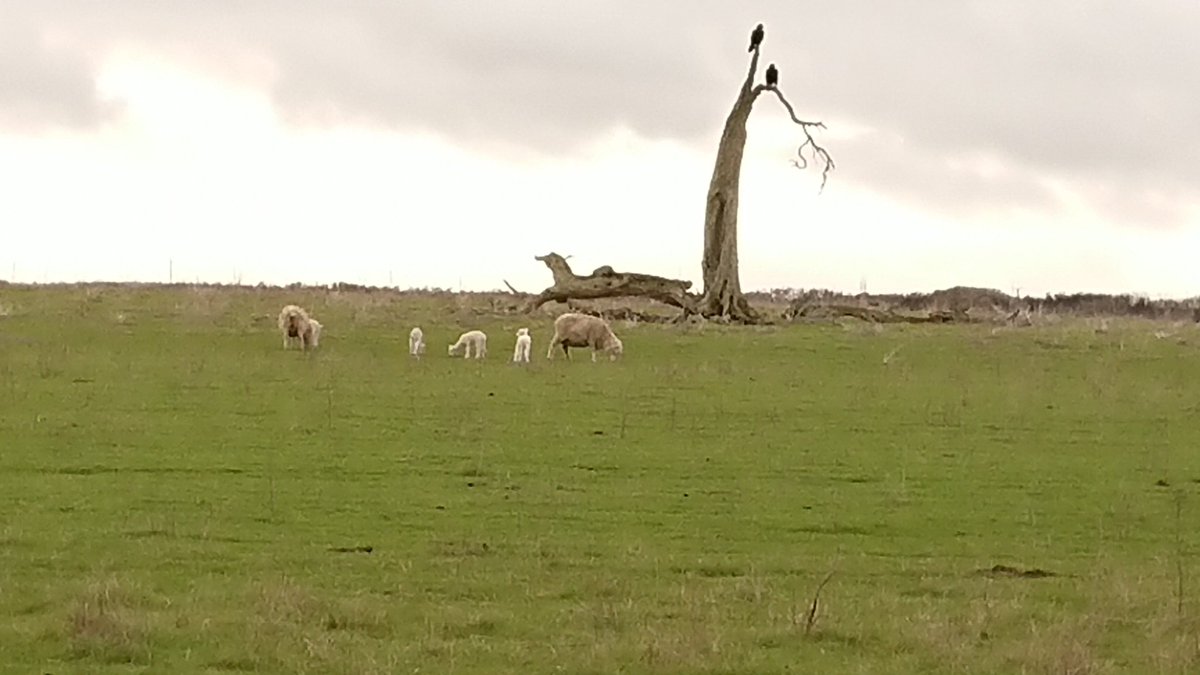 Perusing the lunch menu?