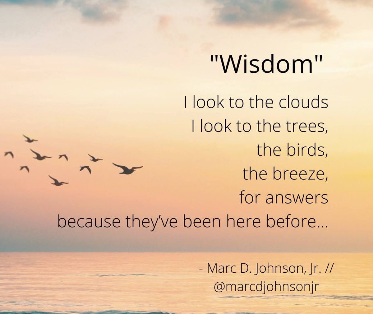 marcdjohnsonjr's tweet photo. “Wisdom” (Poem #10 for week 10) | One can find much peace, guidance and answers through nature…
#WondersOfMeditation #wisdom #nature #MotherNature #birds #air #water #poetrytwitter #poetry https://t.co/lbheWVOTWM