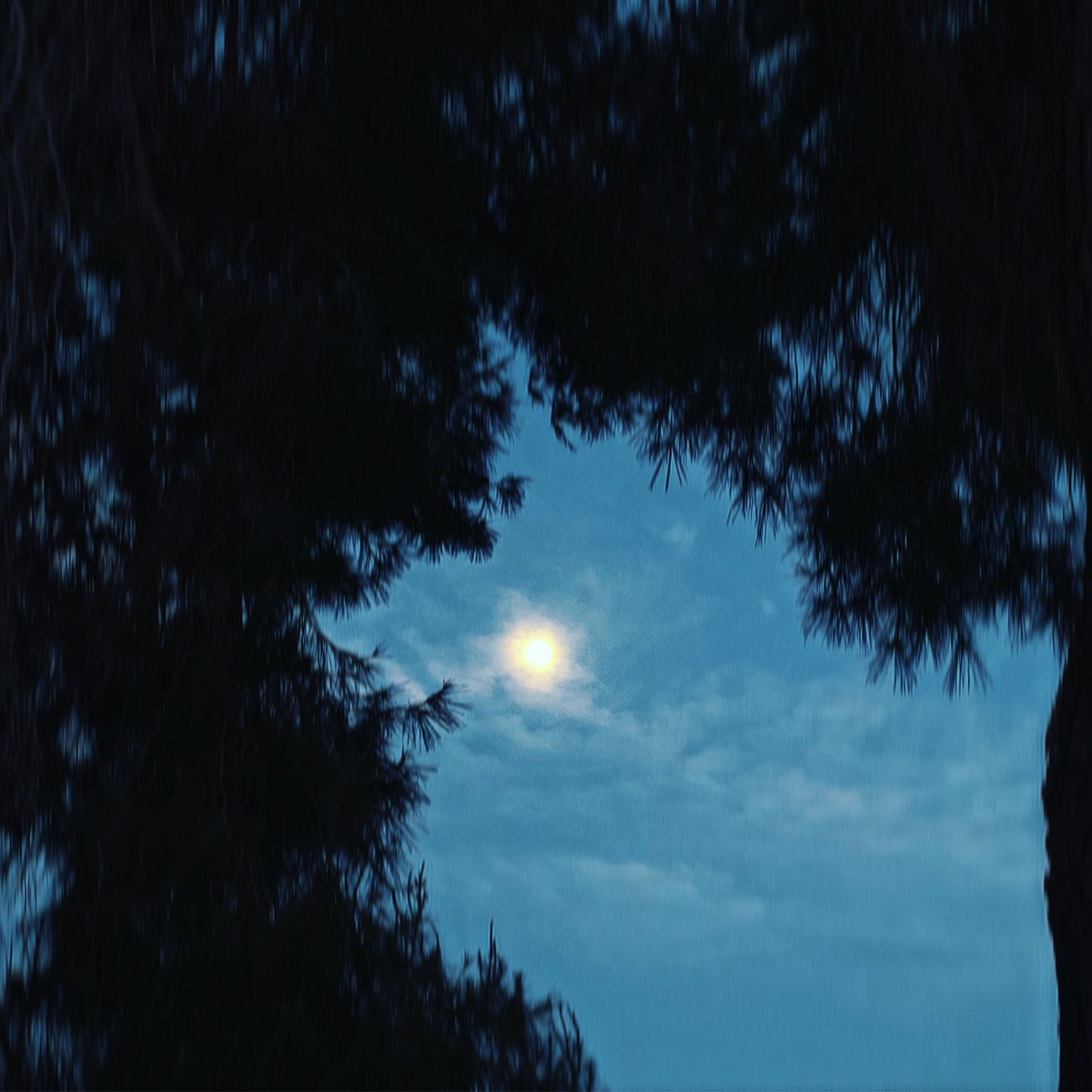 June moon