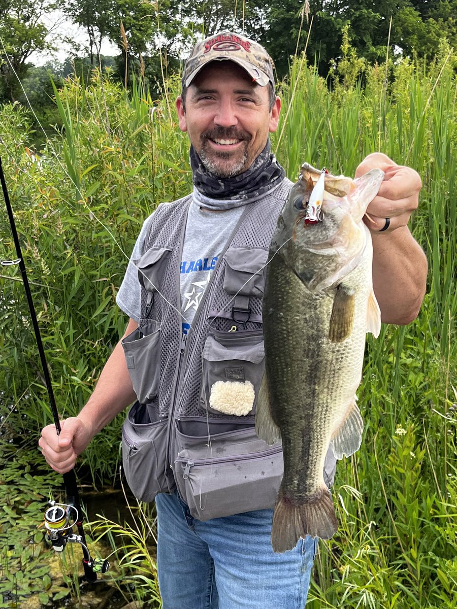 Mike Graham tweet media