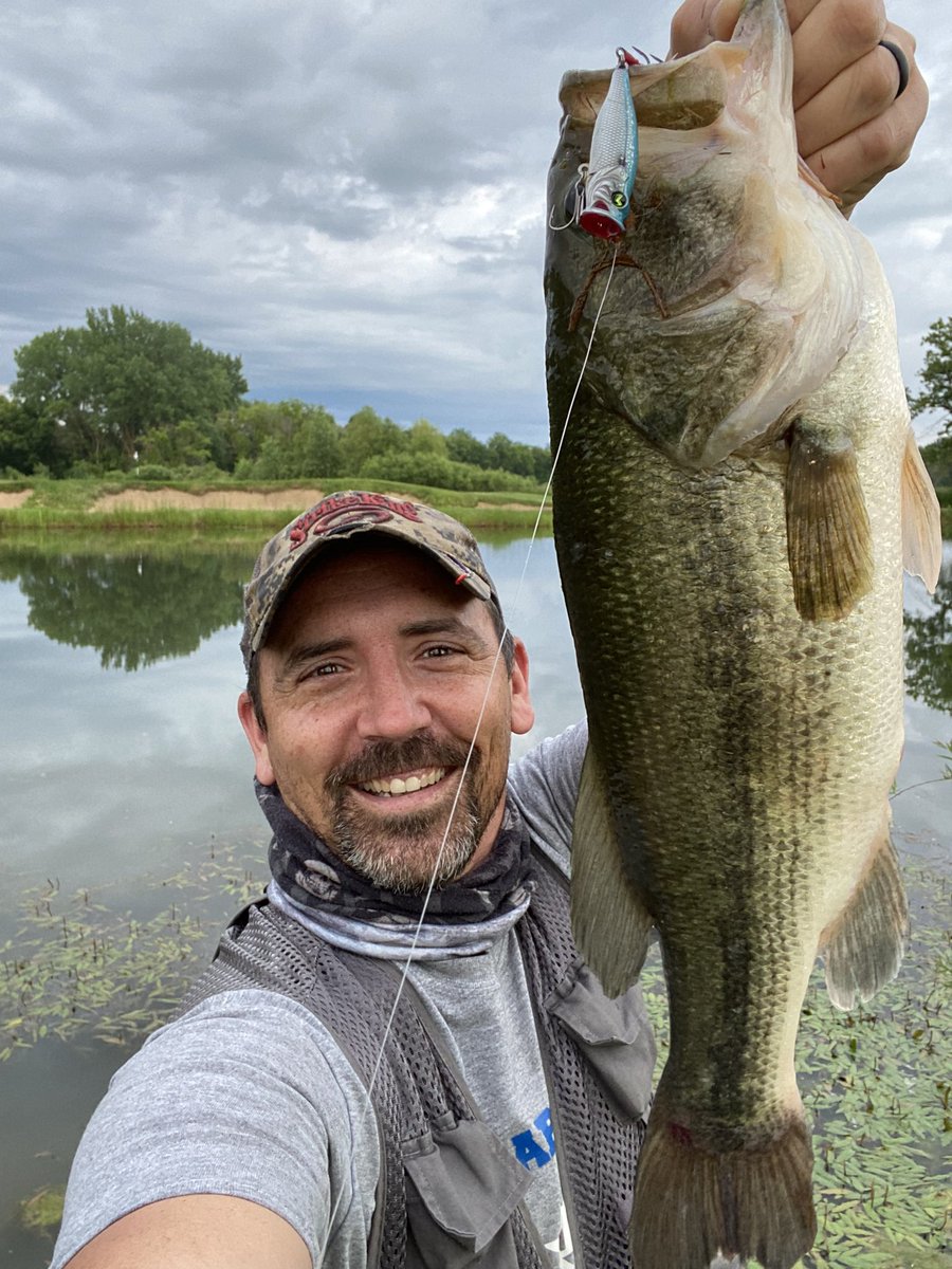 Mike Graham tweet media