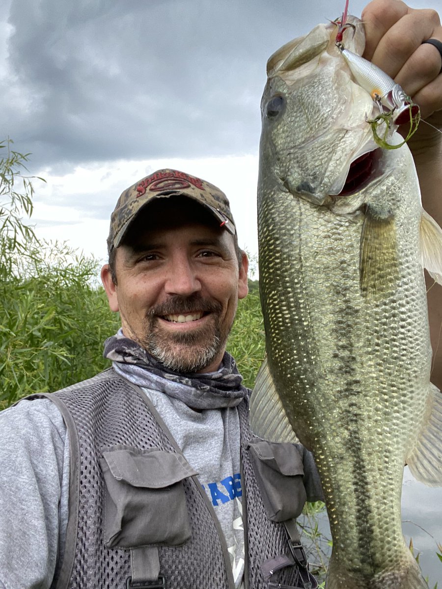 Mike Graham tweet media