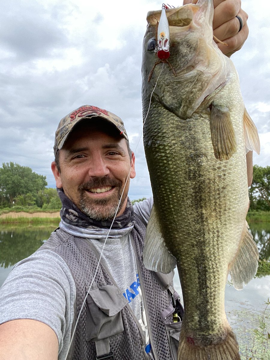 Mike Graham tweet media