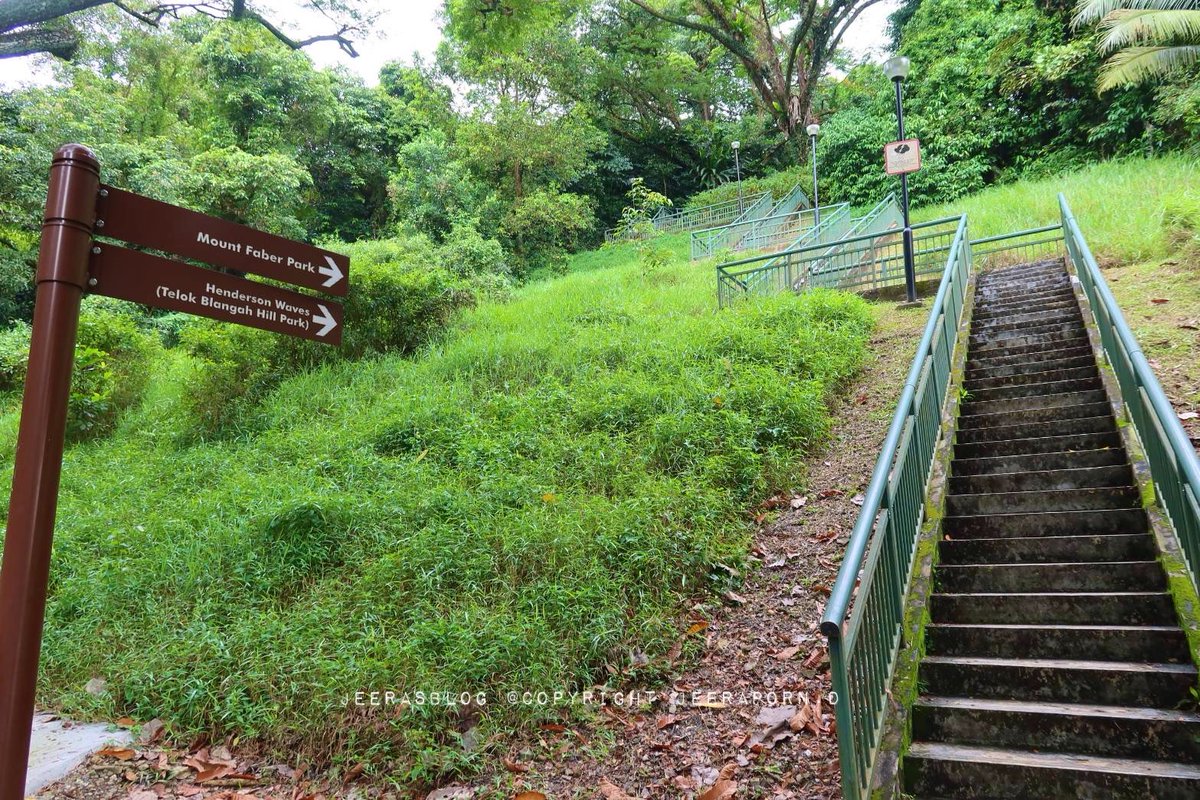 JeerasBlog's tweet photo. #HendersonWaves สะพานเกลียวคลื่นในหนัง #Equals ใครไป #Singapore ลองไปเดินกันดูนะ #รีวิวสิงคโปร์ #JeerasBlog #JeerasJourney
https://t.co/PyedxvUihN https://t.co/oZNU1wFmjg