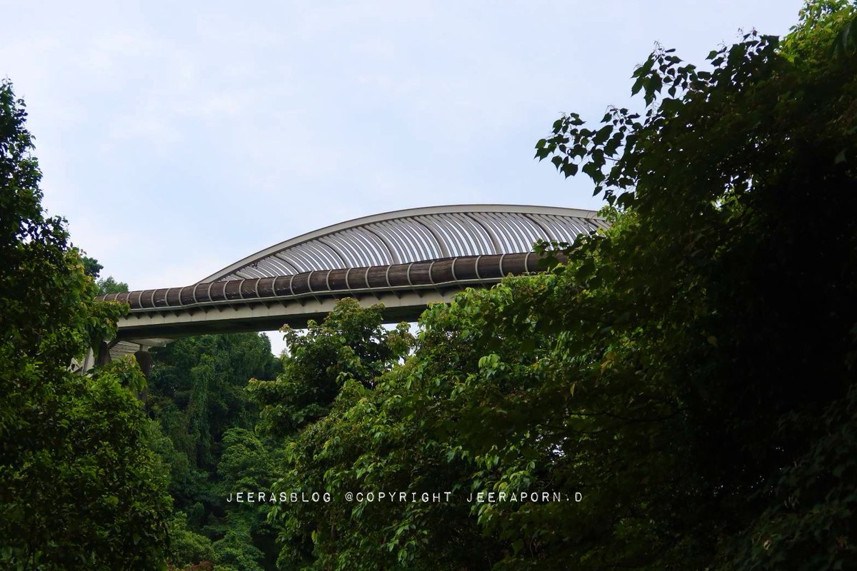 JeerasBlog's tweet photo. #HendersonWaves สะพานเกลียวคลื่นในหนัง #Equals ใครไป #Singapore ลองไปเดินกันดูนะ #รีวิวสิงคโปร์ #JeerasBlog #JeerasJourney
https://t.co/PyedxvUihN https://t.co/oZNU1wFmjg