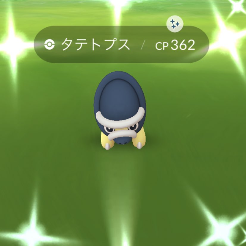 Toripoke Toripoke1 Twitter