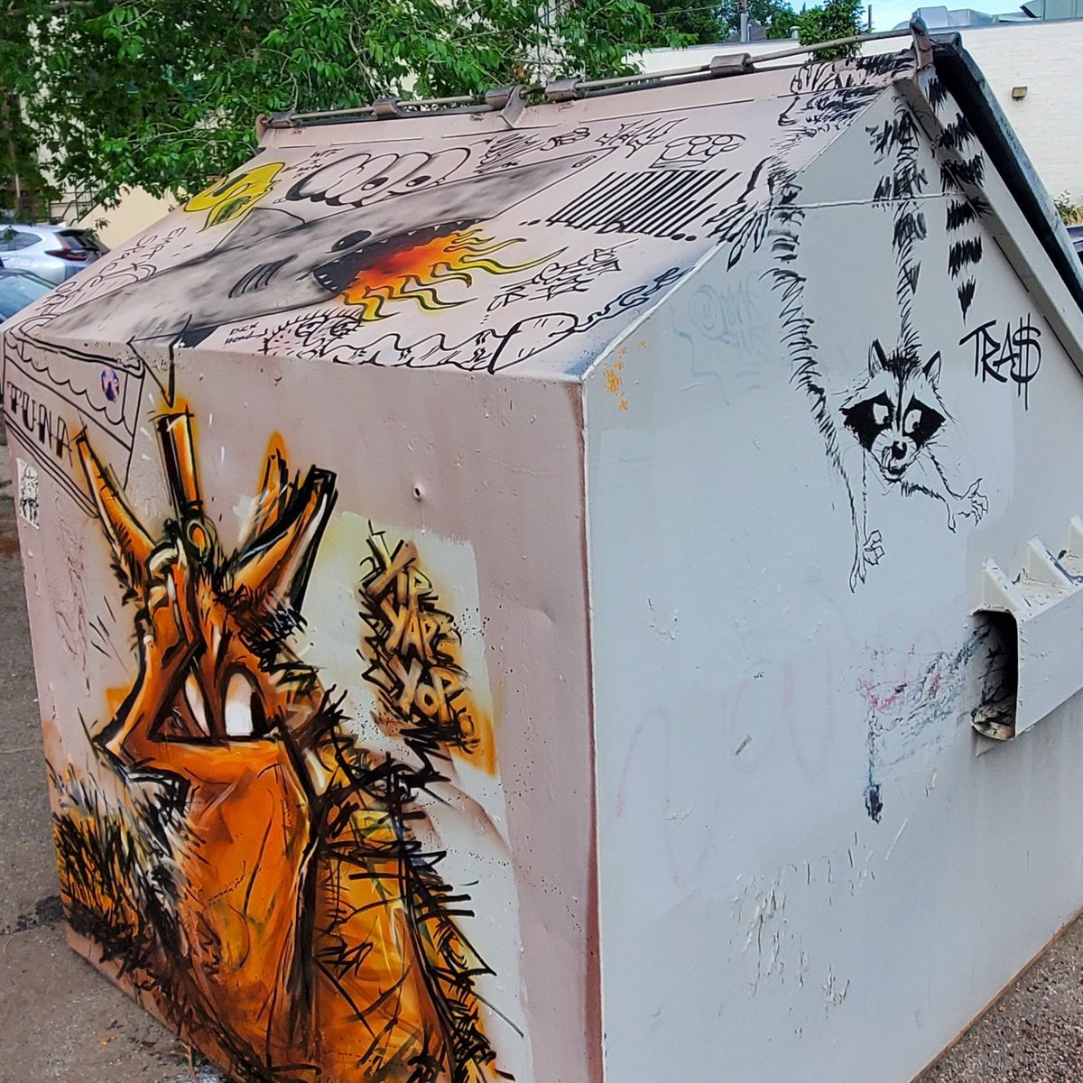 TokkTrash's tweet image. Neighborhood scofflaw activity #CLFX